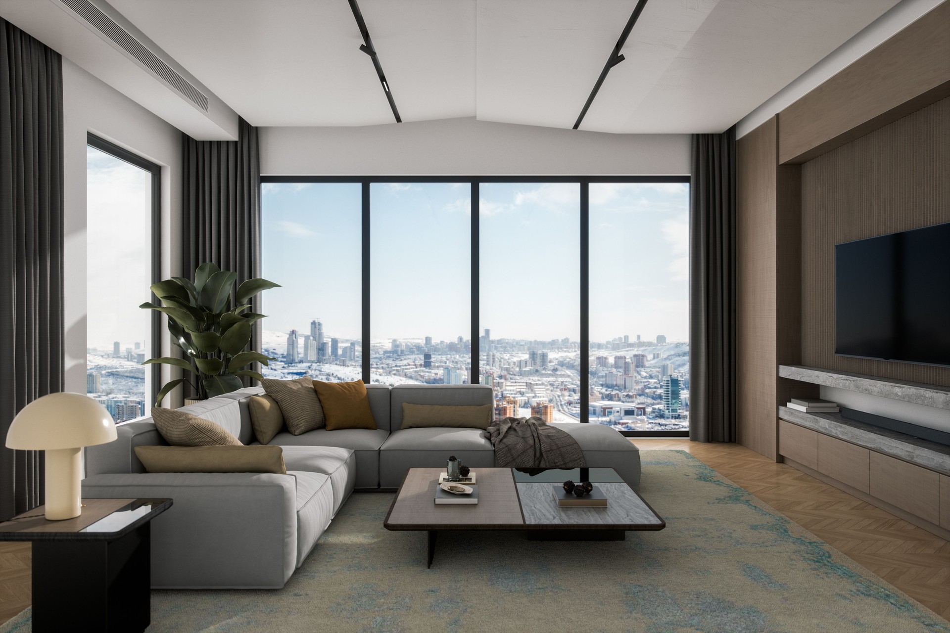 Luxury Modern Living Room